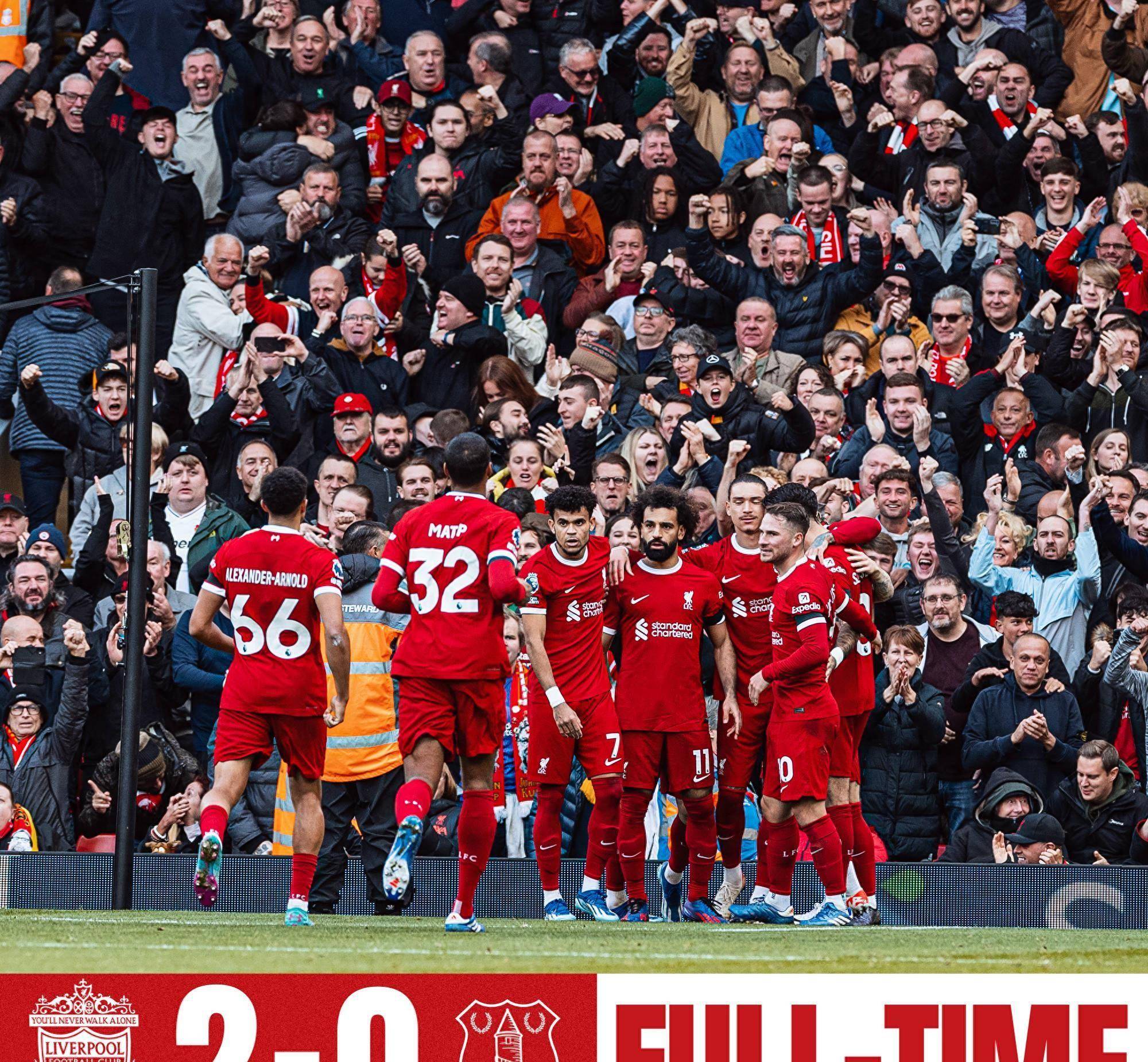 马背上的共生：马术里的优雅与默契